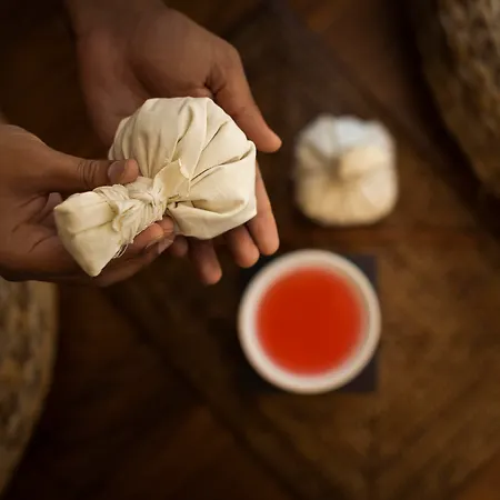 阿德瑞阿缇克大酒店