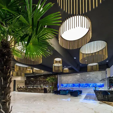 グランド アドリアティック 4* オパティヤ